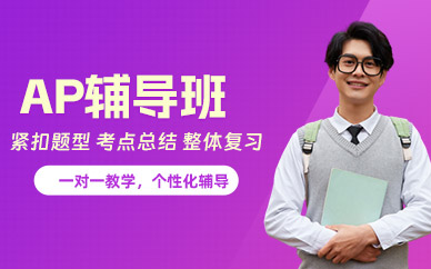 AP英语培训