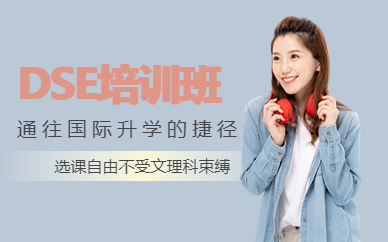 dse培训班