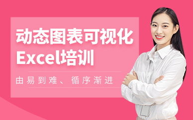 陈文卫可视化动态图表excel学习