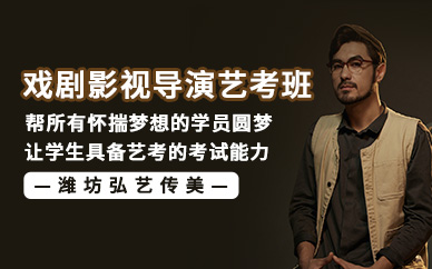 戏剧影视导演艺考课程