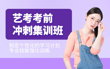 艺考统考考前培训班