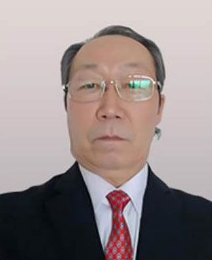 特木尔