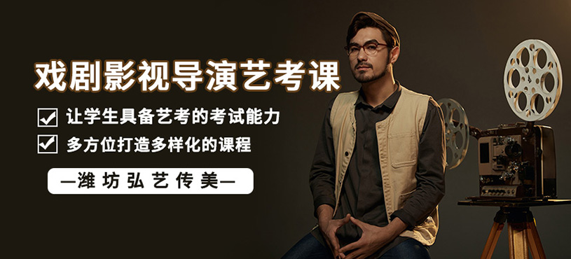 戏剧影视导演艺考班