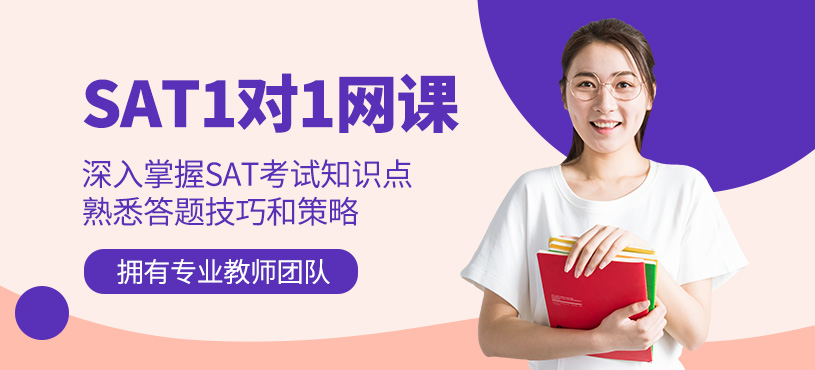 济南sat一对一网课