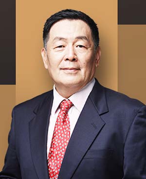 王树京