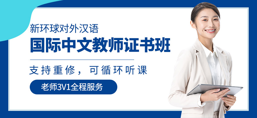 国际汉语教师证网课